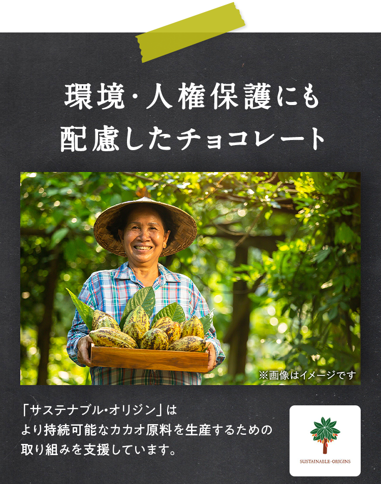 サステナブルオリジン認証 高カカオチョコレート 環境配慮