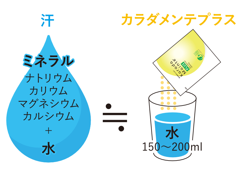 カラダを作る、潤す