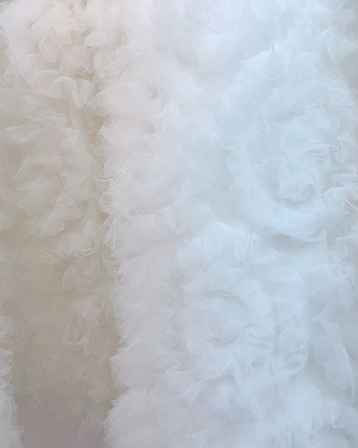 チュールフラワーペプラムニットトップス カラー: WHT