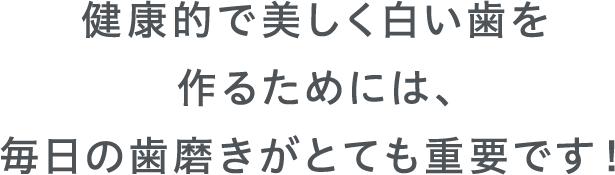 健康的で美しく白い歯を作るためには、毎日の歯磨きがとても重要です！