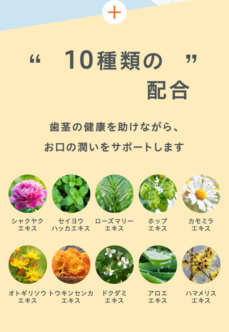 10種類の