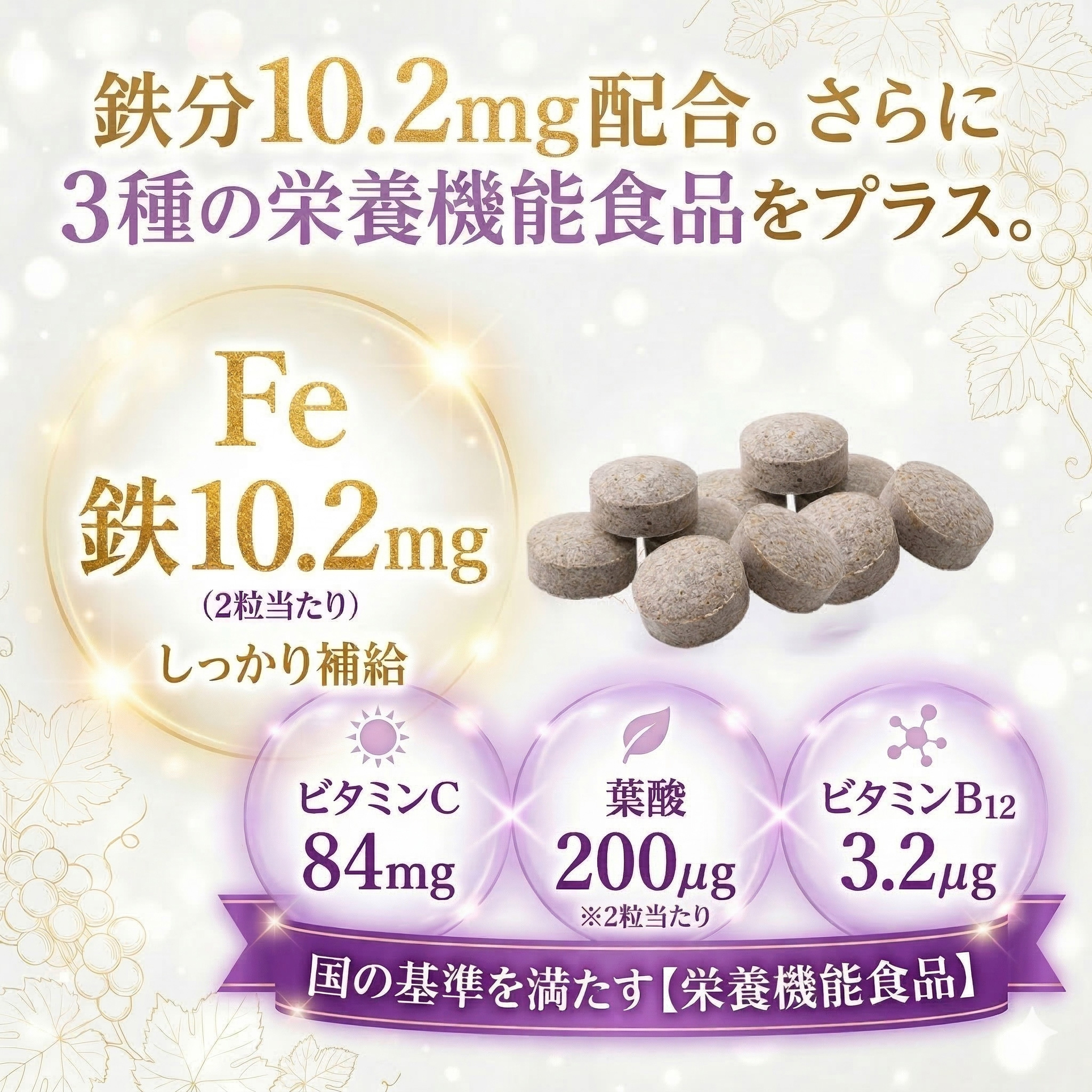 マイウェルシー　たべリッチヘム鉄＆鉄