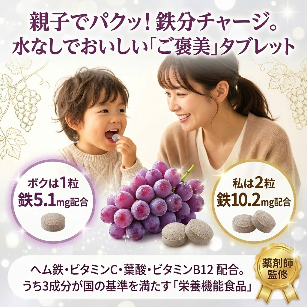 マイウェルシー　たべリッチヘム鉄＆鉄