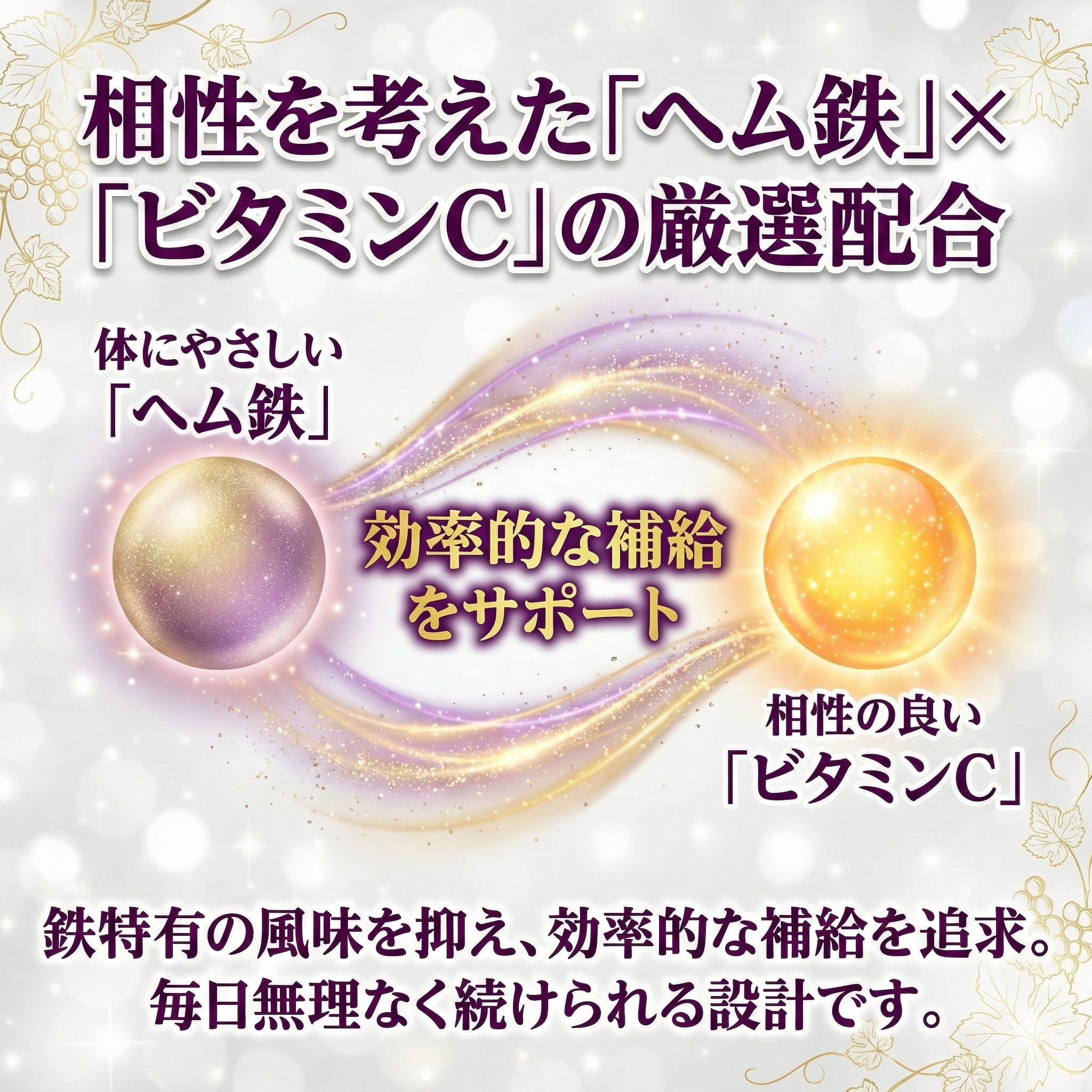 マイウェルシー　たべリッチヘム鉄＆鉄