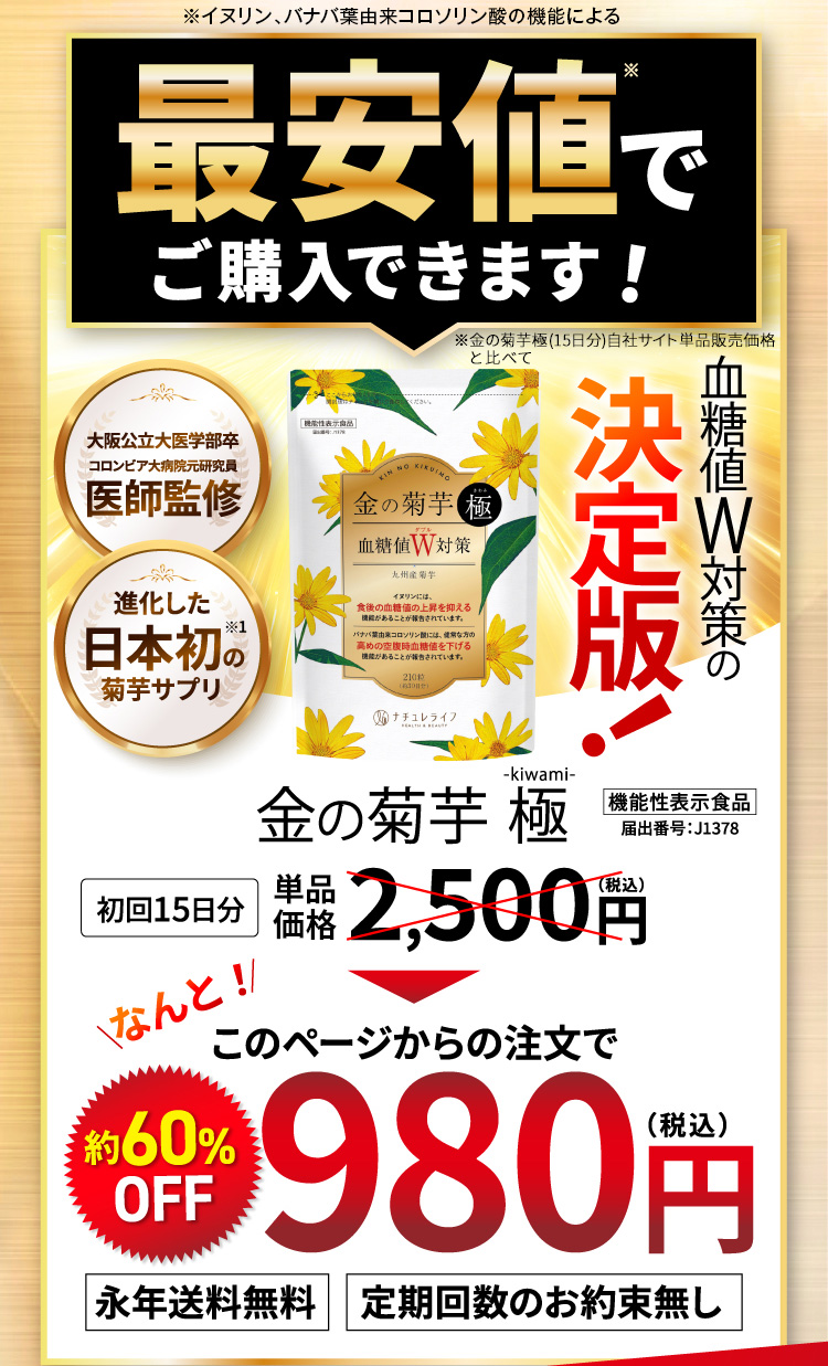 最安値でご購入できます!