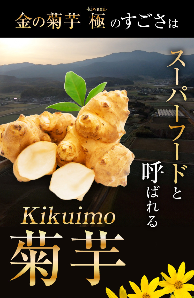 金の菊芋極のすごさはスーパーフードと呼ばれる菊芋