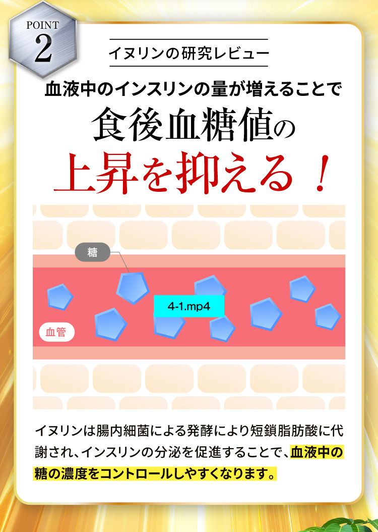 【POINT2】イヌリンの研究レビュー 血液中のインスリンの量が増えることで食後血糖値の上昇を抑える!