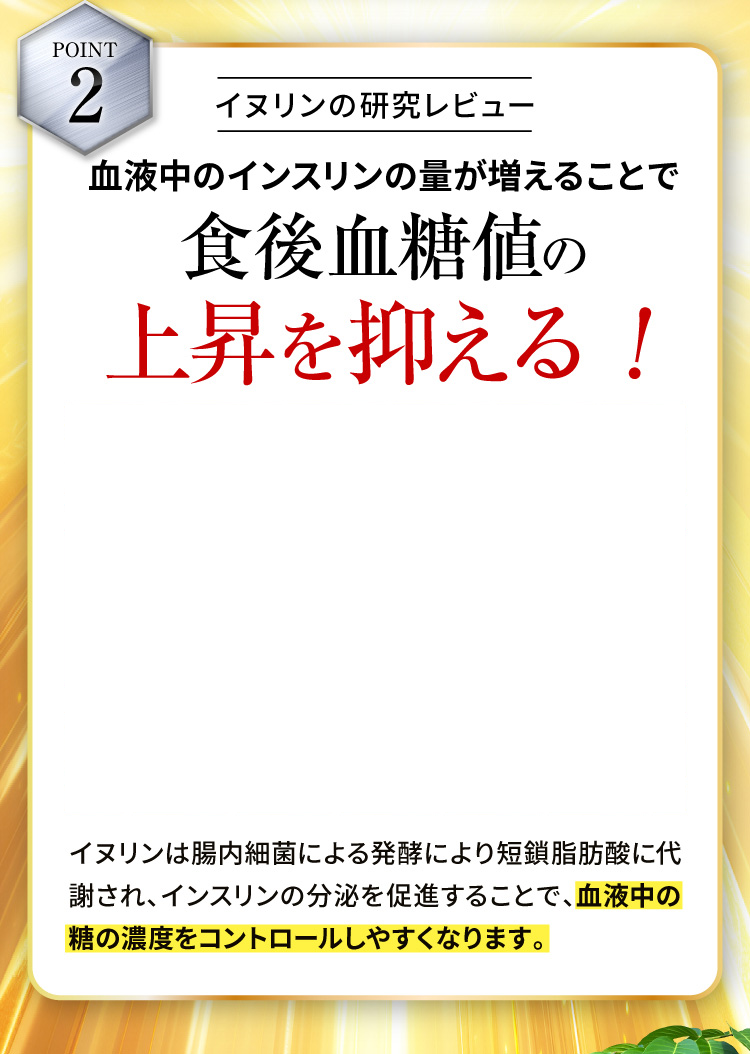 【POINT2】イヌリンの研究レビュー 血液中のインスリンの量が増えることで食後血糖値の上昇を抑える!