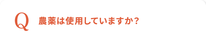 農薬は使用していますか？