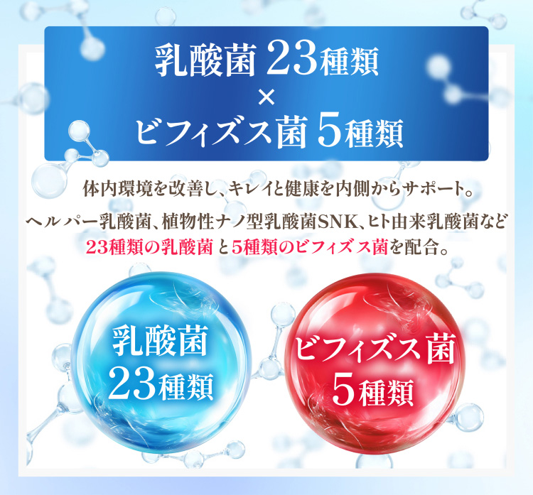 乳酸菌23種類×ビフィズス菌5種類