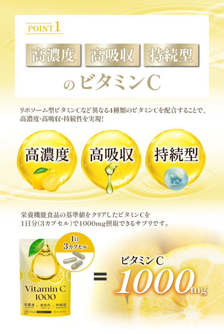 POINT 1:高濃度・高吸収・持続型のビタミンC