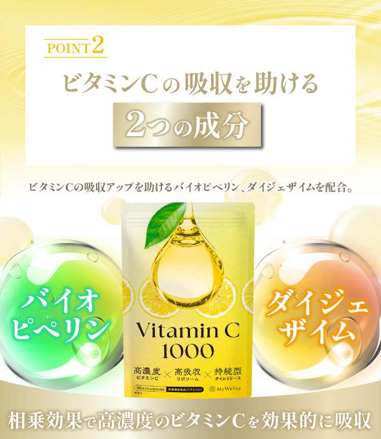 POINT 2:ビタミンCの吸収を助ける2つの成分