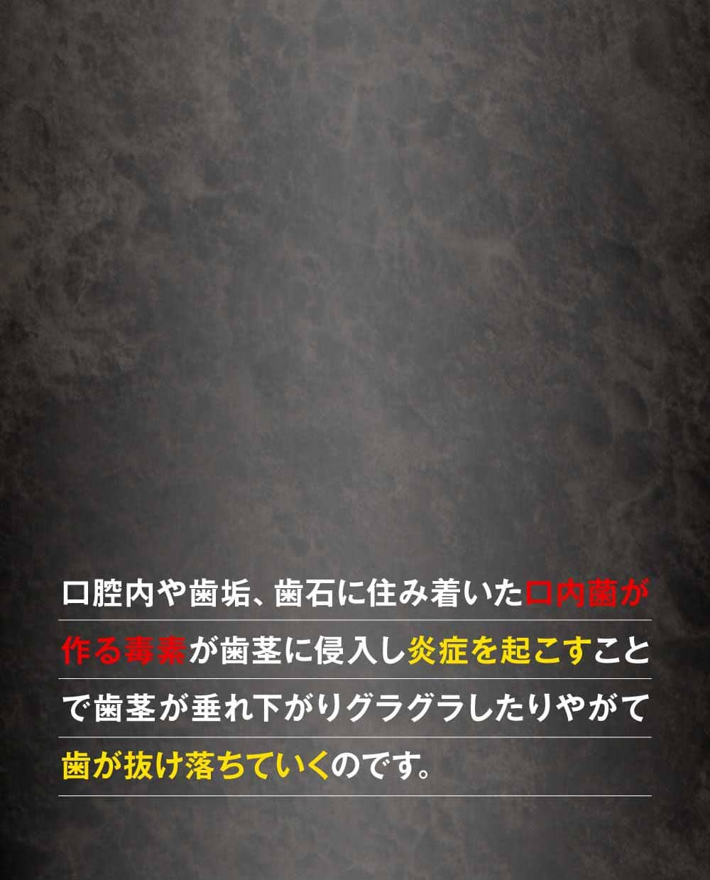 図解動画と説明