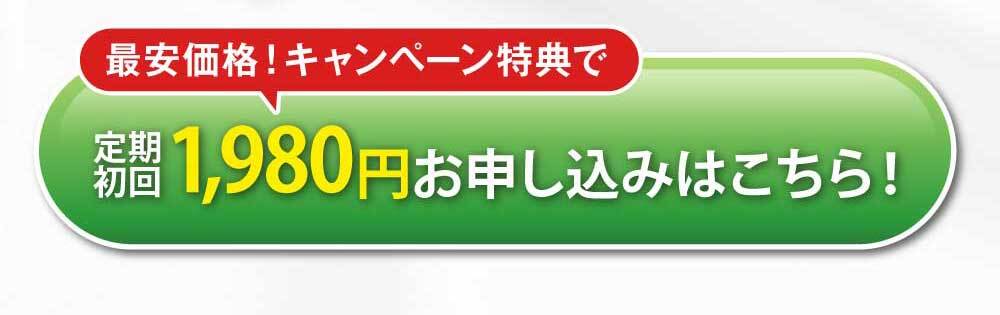 お得に試してみる