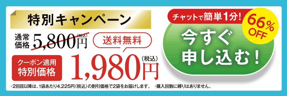 お得に試してみる