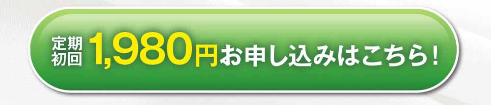 お得に試してみる