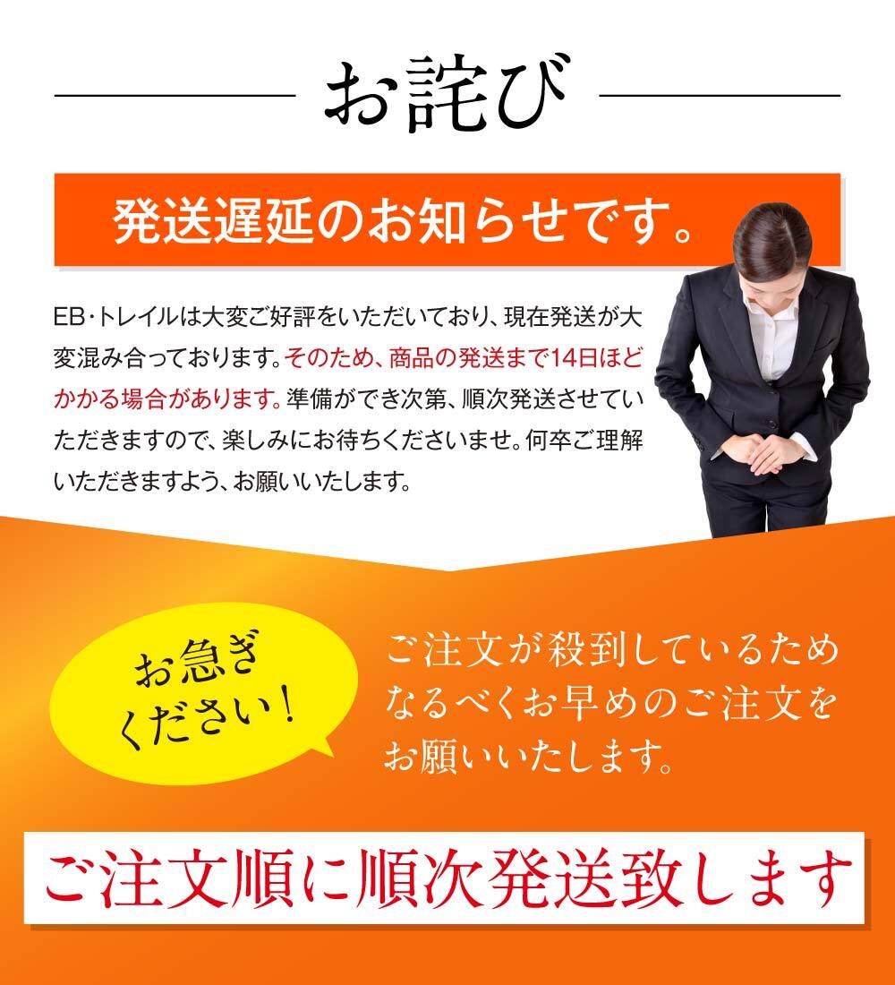 発送遅延のお知らせ