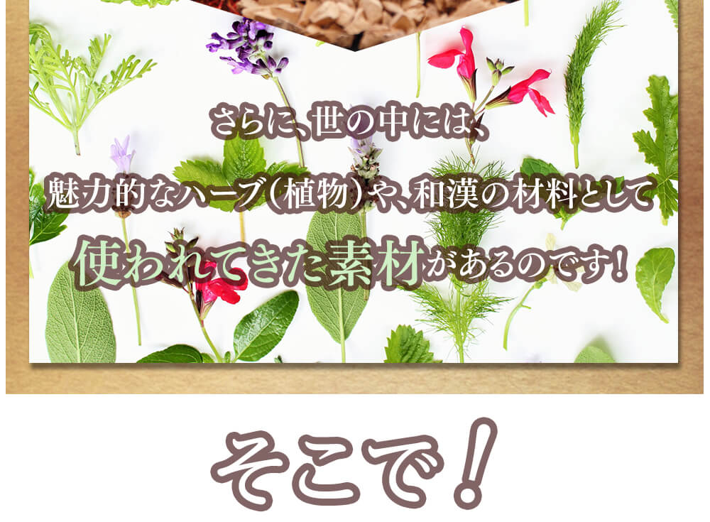 さらに、世の中には、魅力的なハーブ(植物)や、和漢の材料として使われてきた素材があるのです！