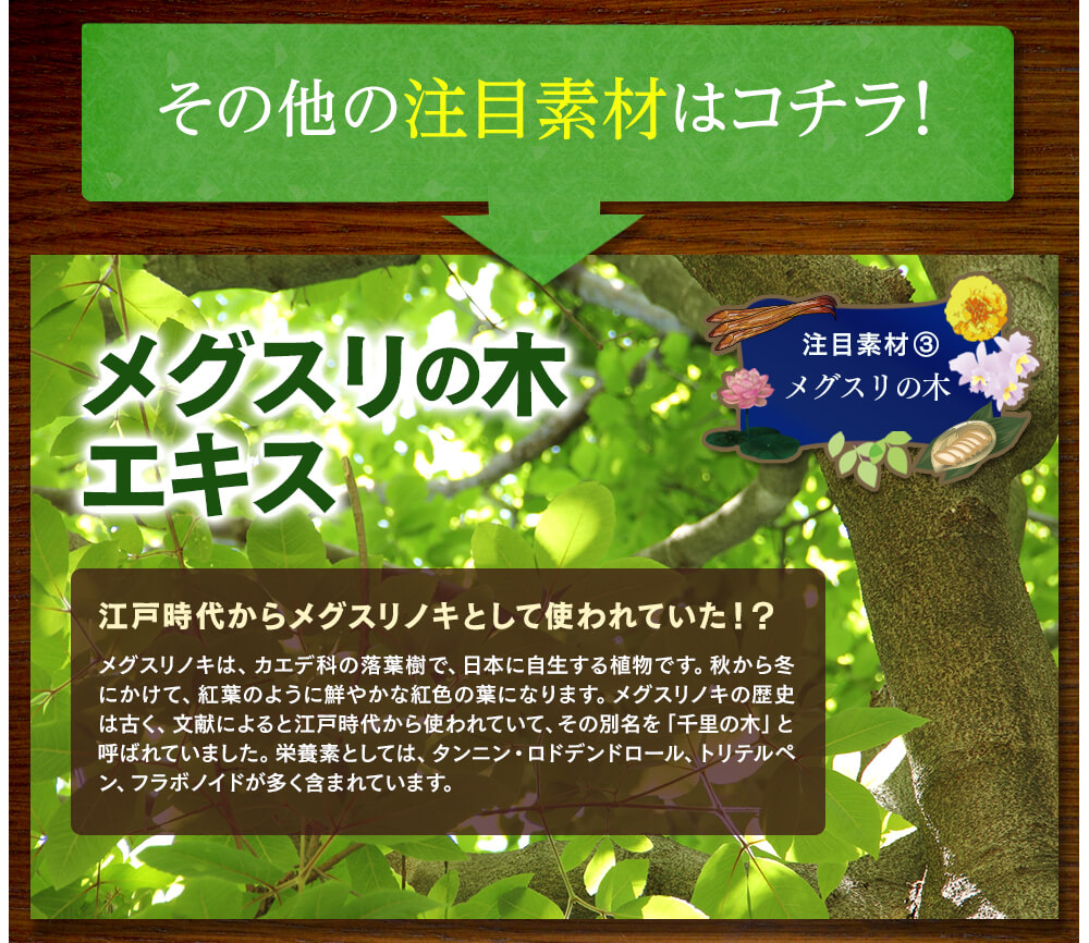 その他の注目素材はコチラ！注目素材③、江戸時代からメグスリノキとして使われていた、メグスリの木エキス。