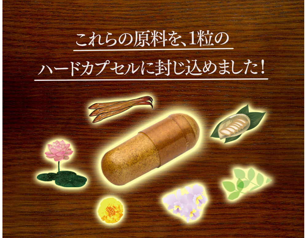 これらの原料を、1粒のハードカプセルに封じ込めました！