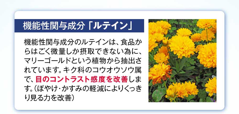 機能性関与成分ルテイン