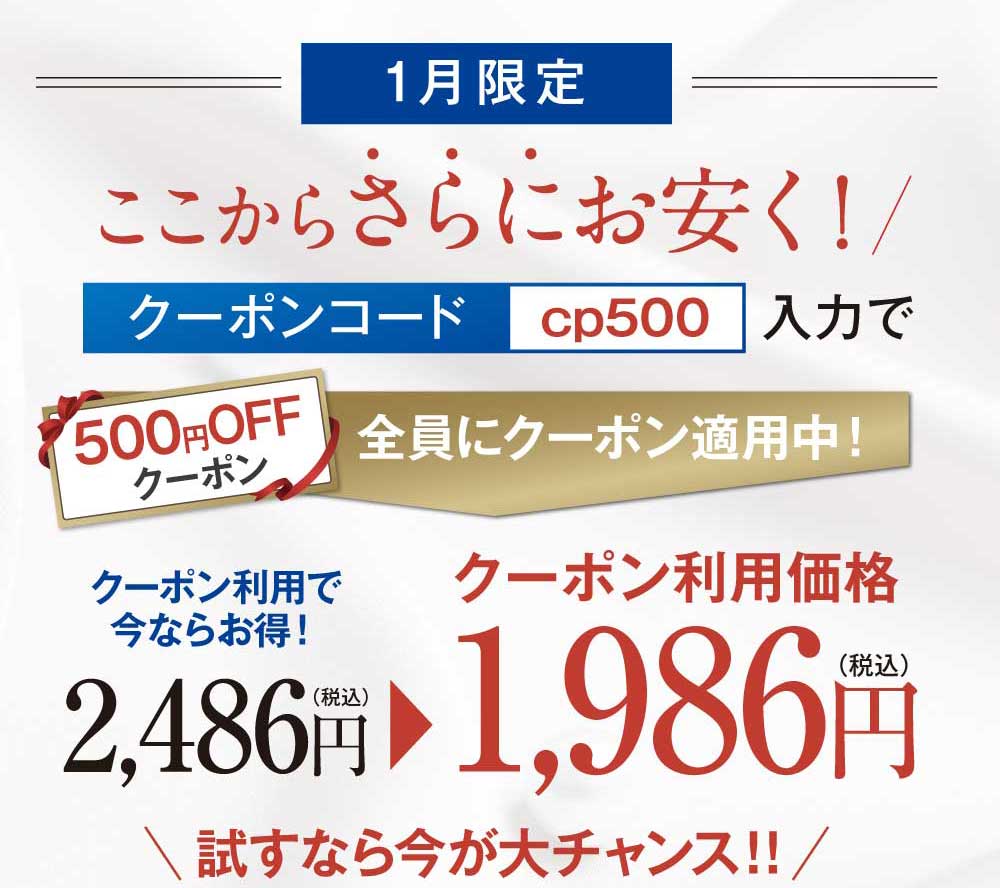 安価でお試しできます