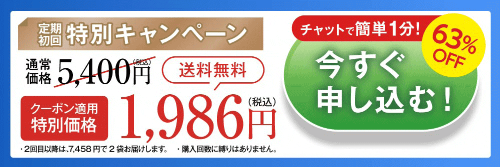 お得に試してみる
