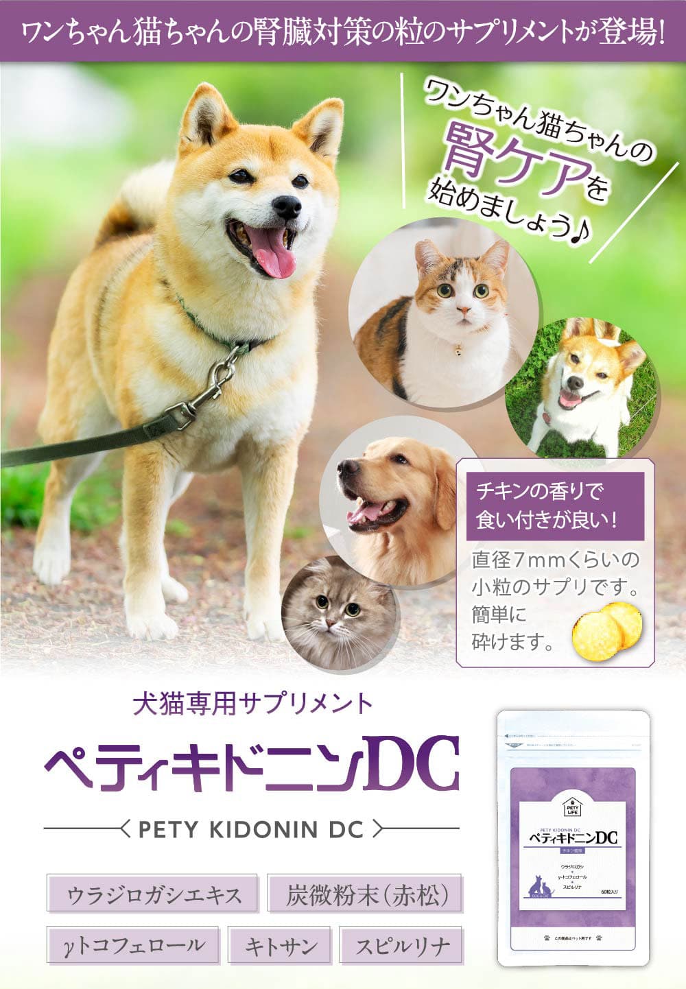 ペティキドニンdc公式webページです