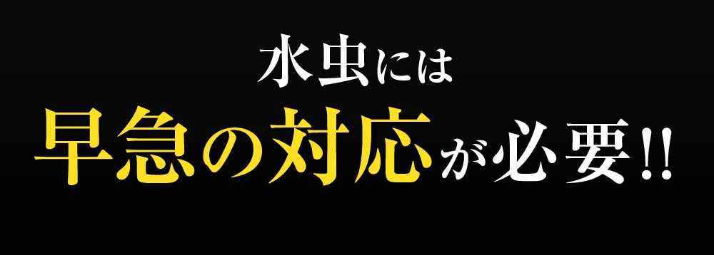 水虫は早急の対応が必要です！