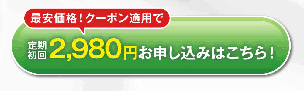 お得に試してみる