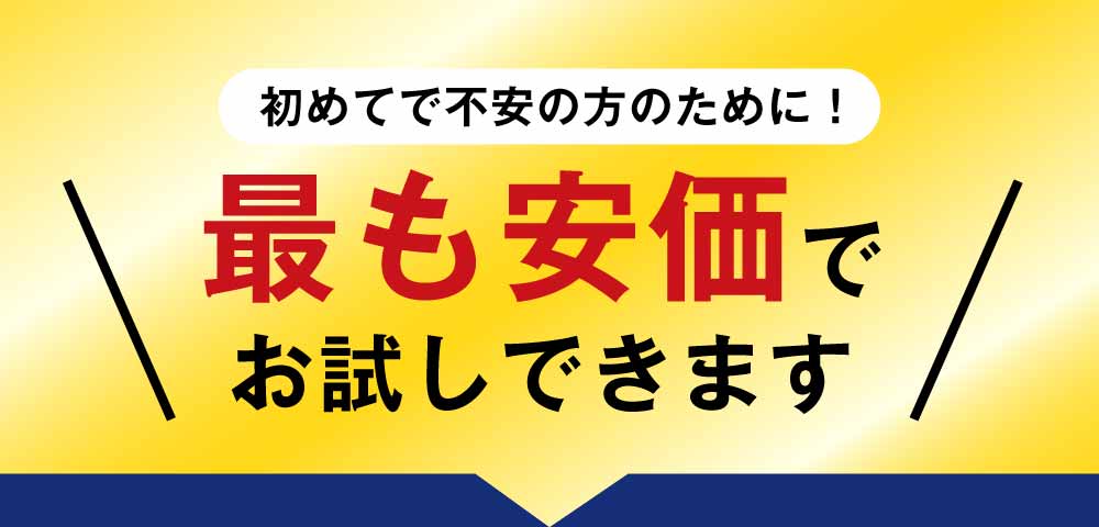 最も安価でお試しできます