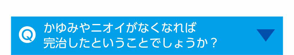 いつ使えばいいの？