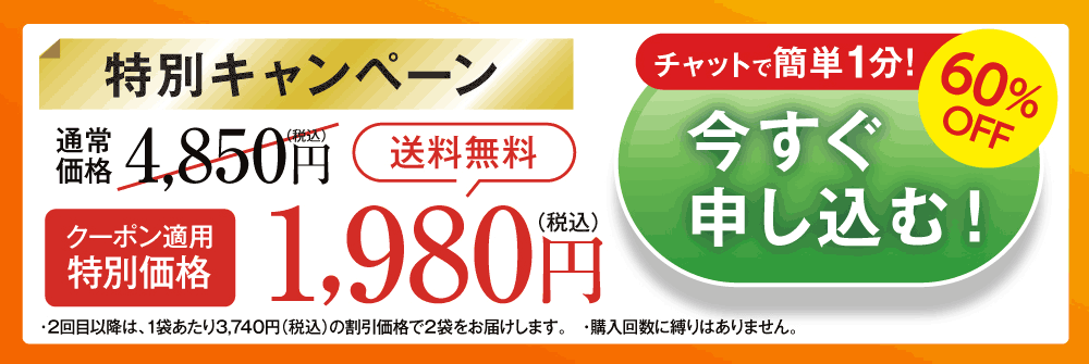 お得に試してみる