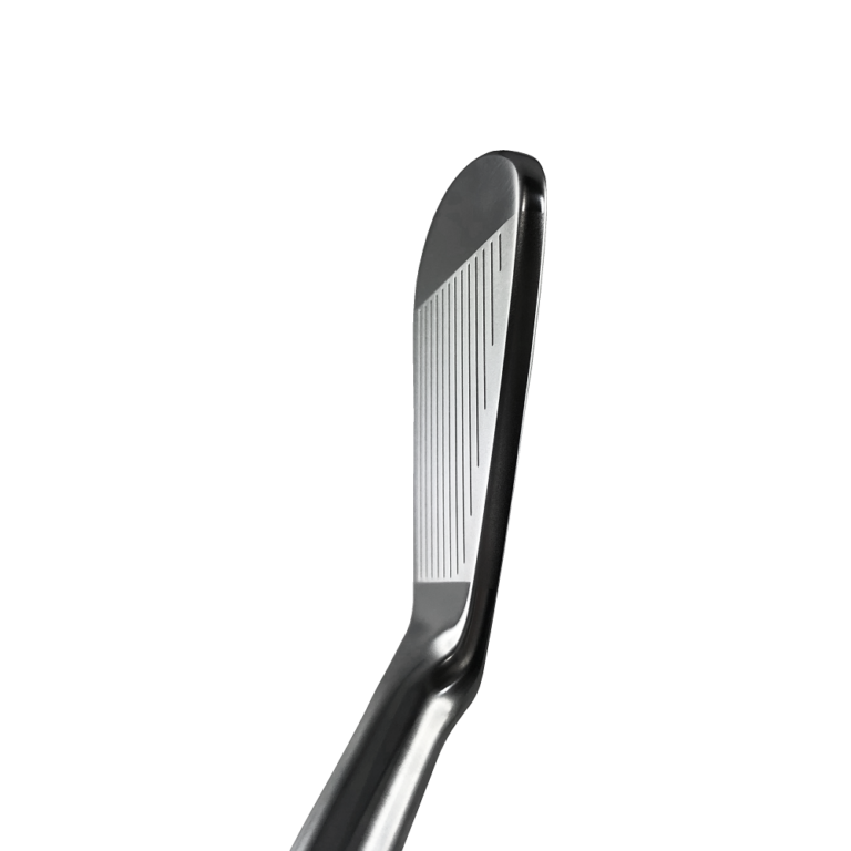 AR-F15（Forged Iron） デキステリティ: 右手用, シャフト: ツルーテンバー	DG　HTシリーズX100 [+¥21,818]
