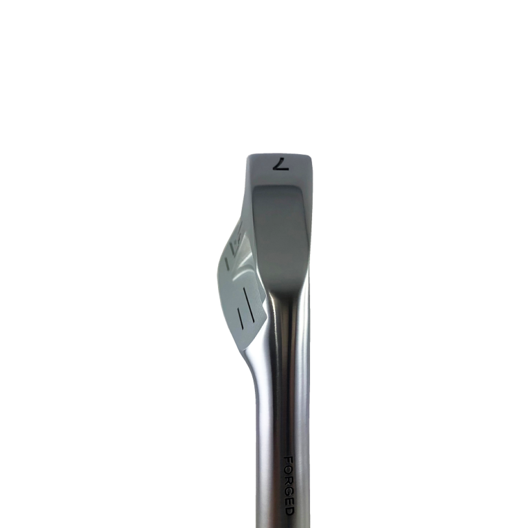 AR-F15（Forged Iron） デキステリティ: 右手用, シャフト: ツルーテンバー	DG　HTシリーズX100 [+¥21,818]