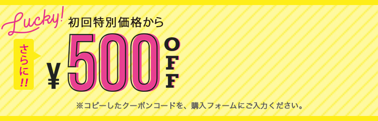 初回特別価格からさらに500円OFFできるクーポンコード