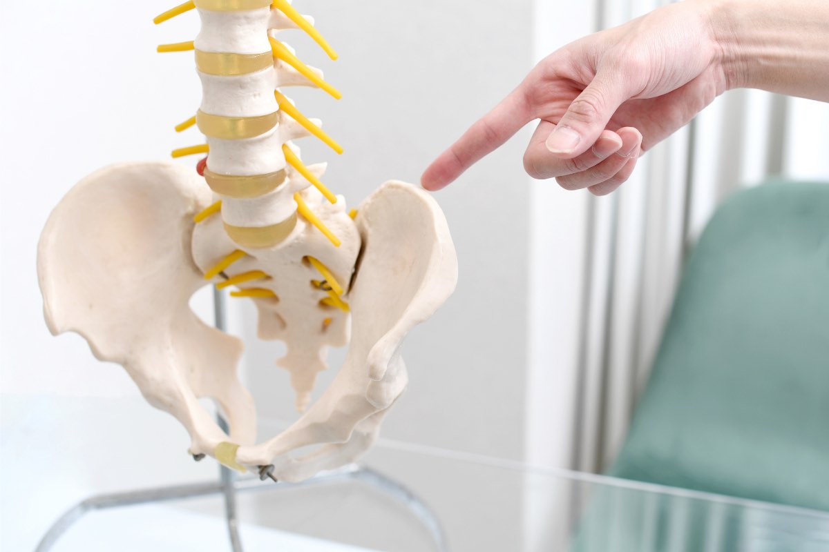 骨盤が後傾すると起きる変化とは？姿勢・体型・不調との関係について