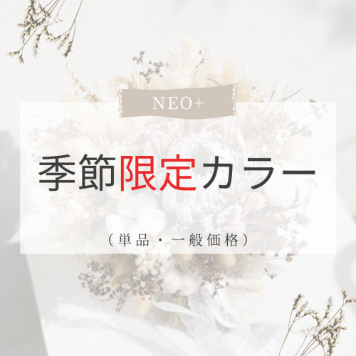 整体ショーツNEO+ 限定カラー（単品・一般価格）