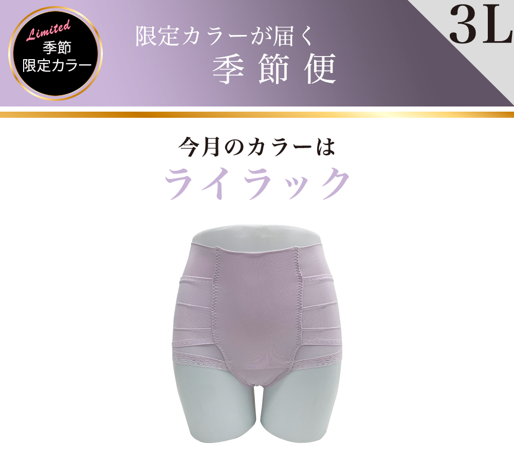【限定カラーが届く　季節便】整体ショーツNEO+単品　3Lサイズ