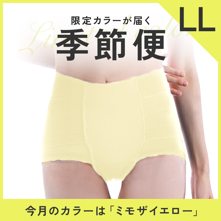 【限定カラーが届く　季節便】整体ショーツNEO+単品　LLサイズ