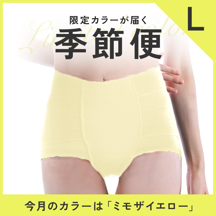 【限定カラーが届く　季節便】整体ショーツNEO+単品　Lサイズ