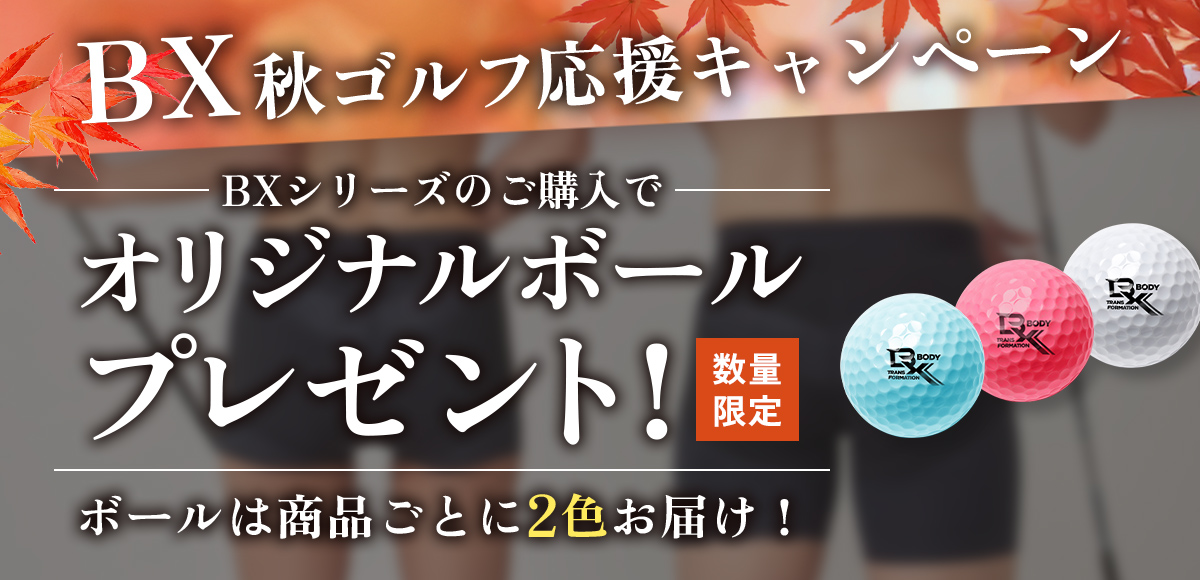 フィードバックディスク FBD 小顔 ダイエット 骨盤矯正 ゴルフ 体幹 楽天市場】フィードバックディスク 【2個セット】世界最小クラス