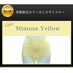 整体ショーツ季節便