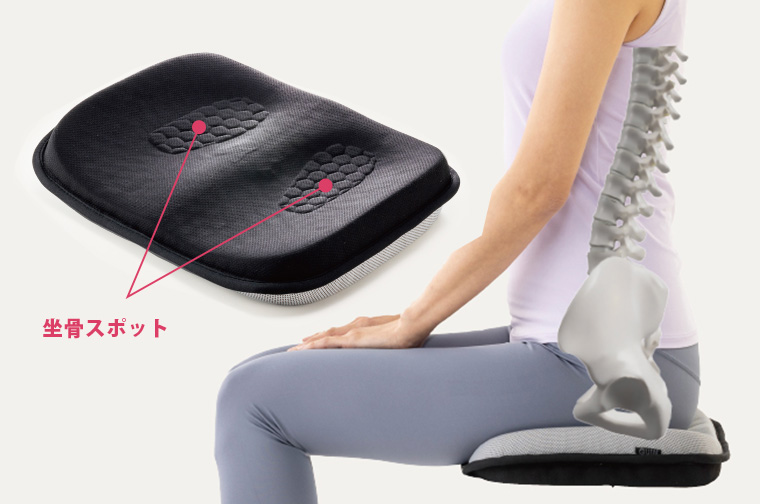 姿勢で美しく魅せる商品はこれ！