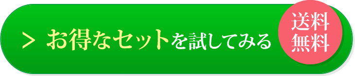 お得なセットを試してみる