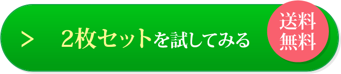 2枚セットを試してみる　送料無料