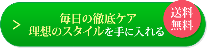 毎日の徹底ケア　理想のスタイルを手に入れる　送料無料