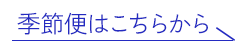 季節便はこちらから
