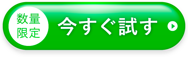 今すぐ試す
