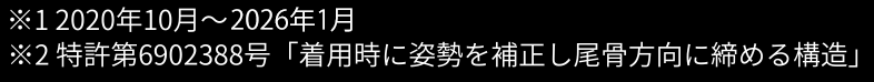 特許第6902388号